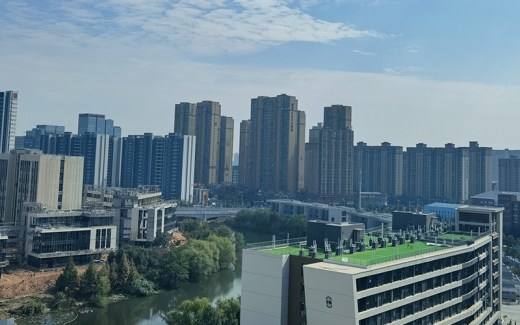 知识产权