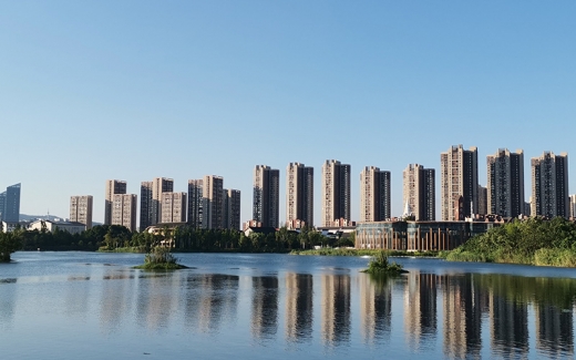 发展历程